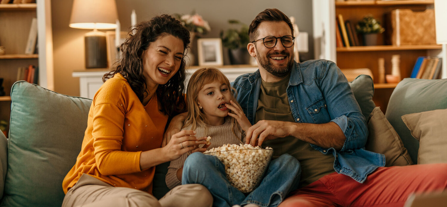 Holzheizung von ISELI