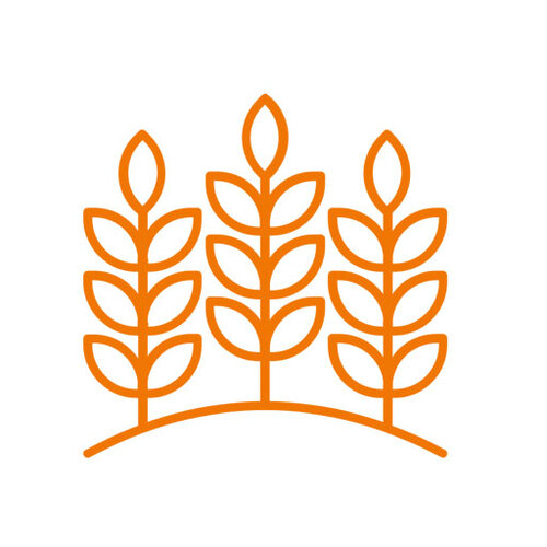 hackschnitzelheizung-landwirtschaft